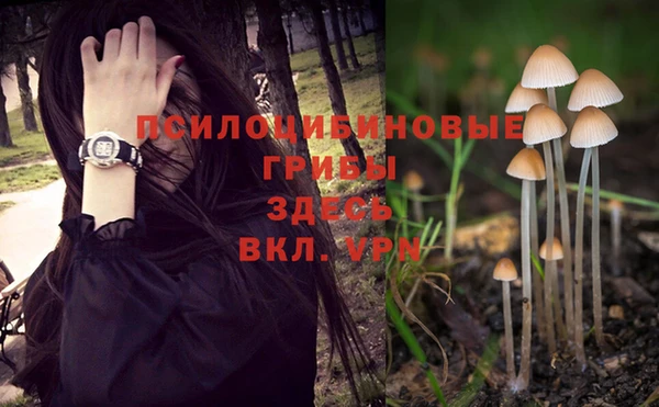 герыч Алексин